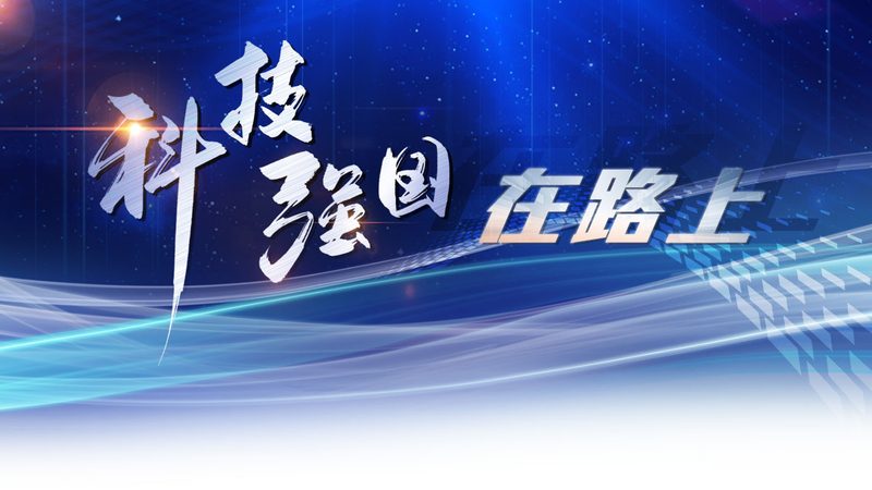 供应链软件采购，如何规避潜在风险？**